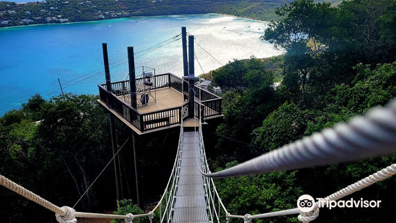 Tree Limin' Extreme Zipline St. Thomas