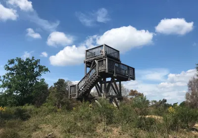 Limburg