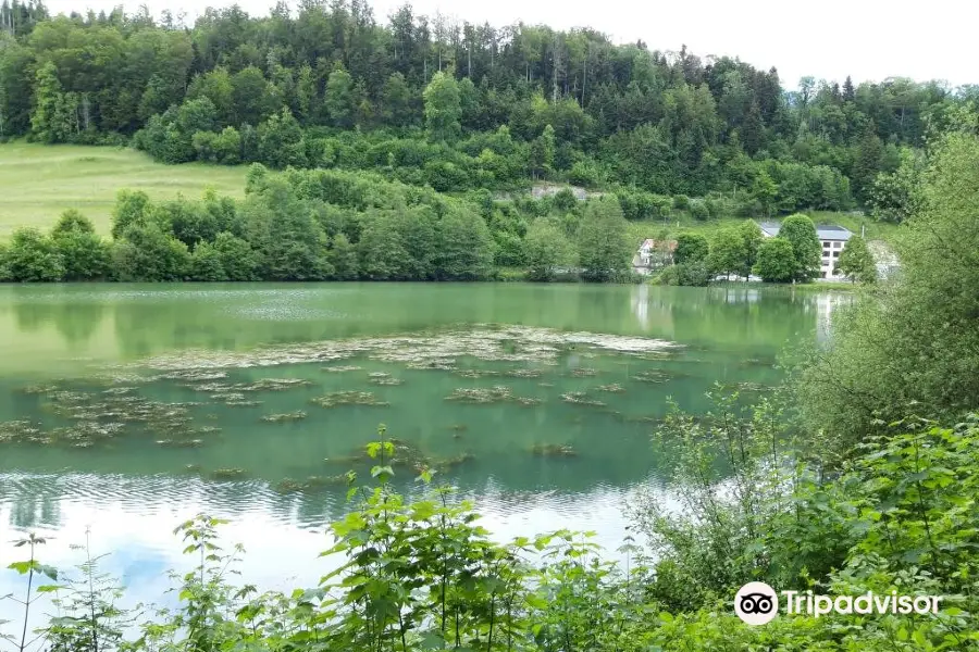 Etang de Lucelle