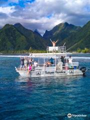 Teahupoo tours and surf Adventures