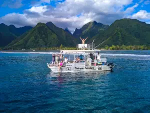 Teahupoo tours and surf Adventures