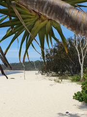 Coastal Island Safaris