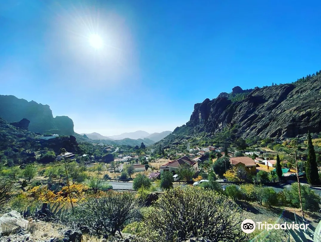 2_Rent Bike Playa Meloneras