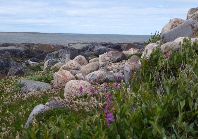 Cape Merry Battery