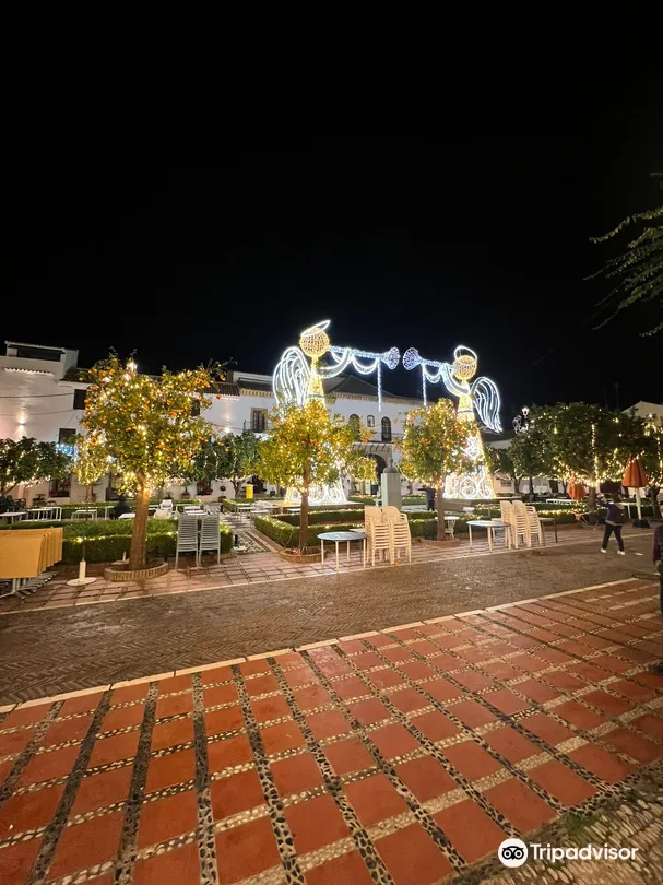 5_Plaza de Los Naranjos