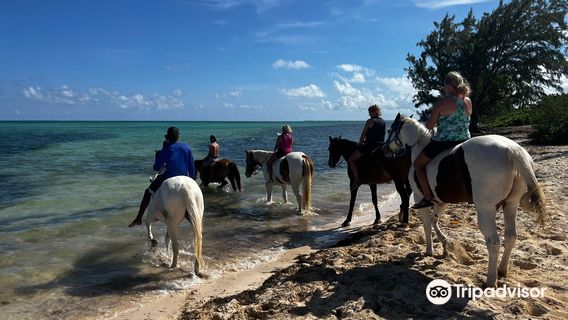 Grand Cayman