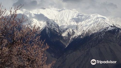 Chitral Gol National Park