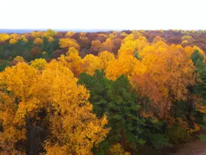 Hoosier National Forest