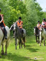 Derbyshire Pony Trekking