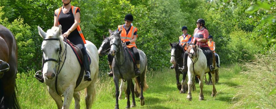 Derbyshire Pony Trekking