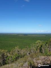 Wild Horse Mountain Lookout