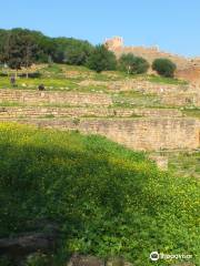 Exotic Gardens of Bouknadel