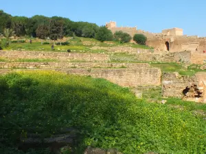 Exotic Gardens of Bouknadel