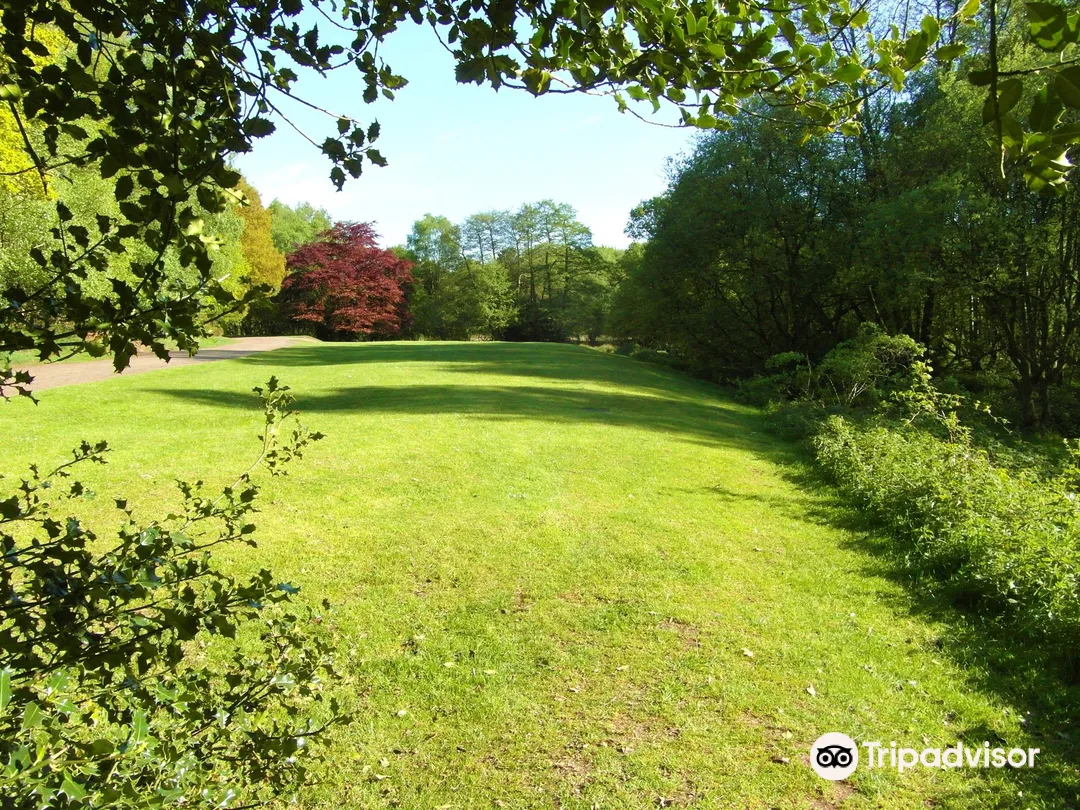 1_Sutton Park National Nature Reserve