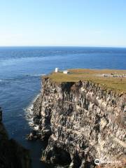 Latrabjarg bird cliffs