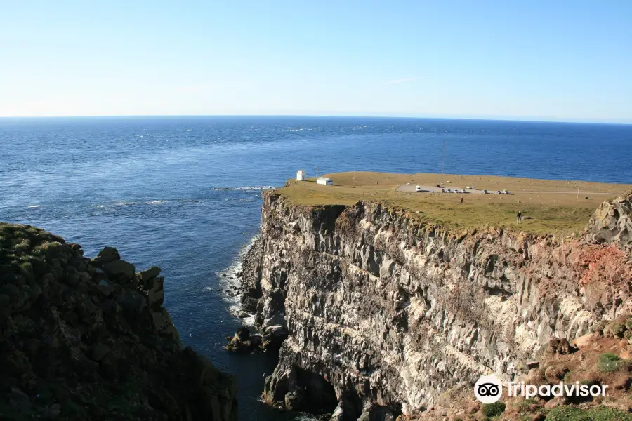 Latrabjarg bird cliffs