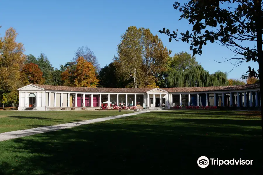 Il Parco degli Alberi Parlanti