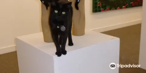 South Haven Center for the Arts