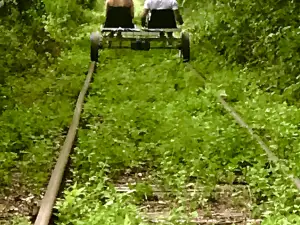 Scenic RailRiders