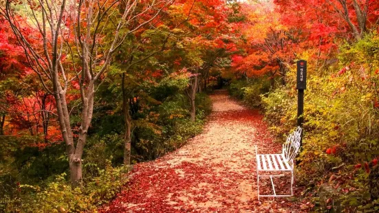 Seohuri Forest