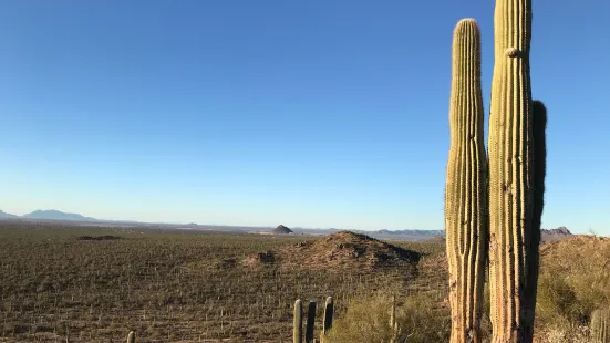 Valley View Overlook Trail