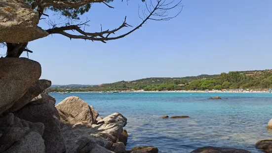 Plage de la Folaca