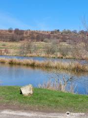 Llandegla Fishery