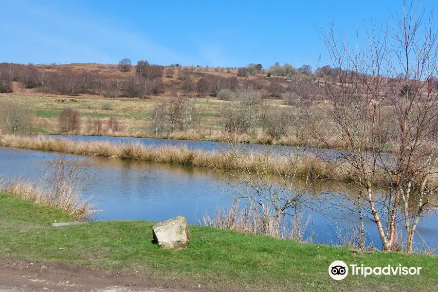 Llandegla Fishery