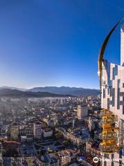 Batumi Tower Ferris Wheel