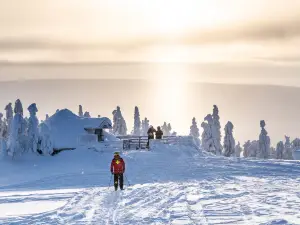 Ukkohalla Ski & Sport Resort