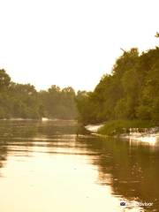 Sundarbans-Nationalpark