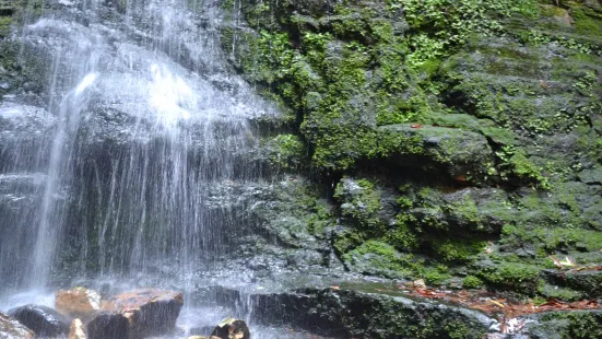 Fairy Bower Falls