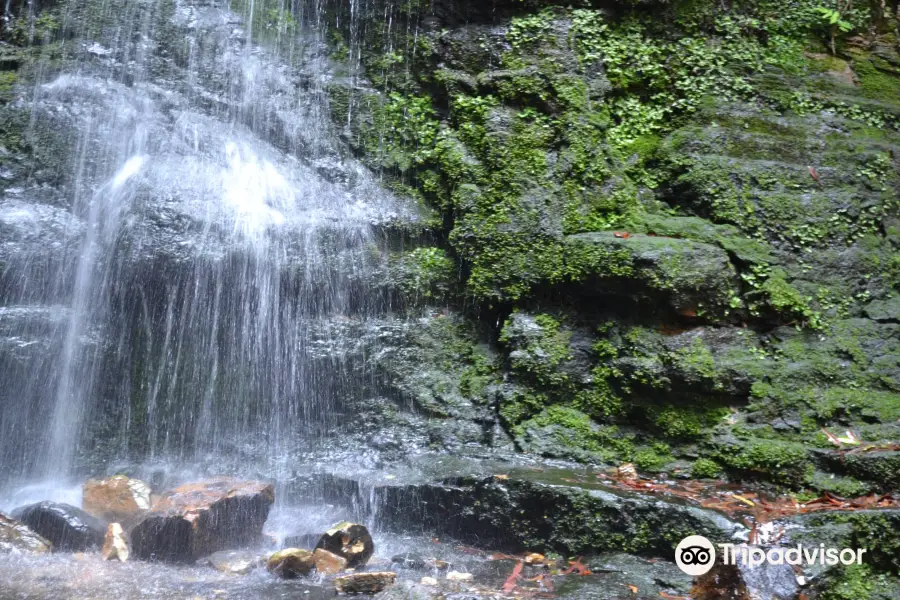 Fairy Bower Falls