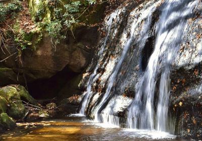 Panthertown Valley