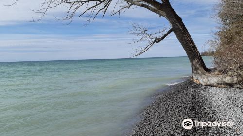 Presqu'ile Provincial Park