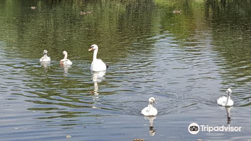 Parc Naturel du Patis