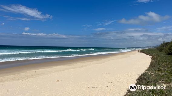 Перегиан Бич