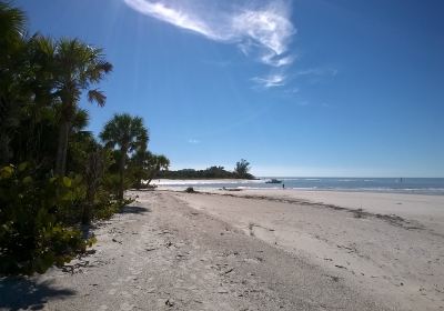 Barefoot Beach County Preserve