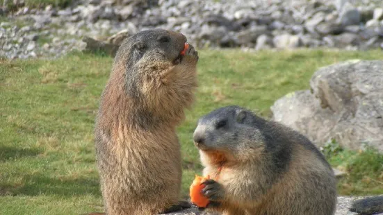 ペダゴジック・ド・サン・ネクテール公園