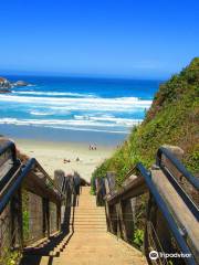 Sand Dollar Beach