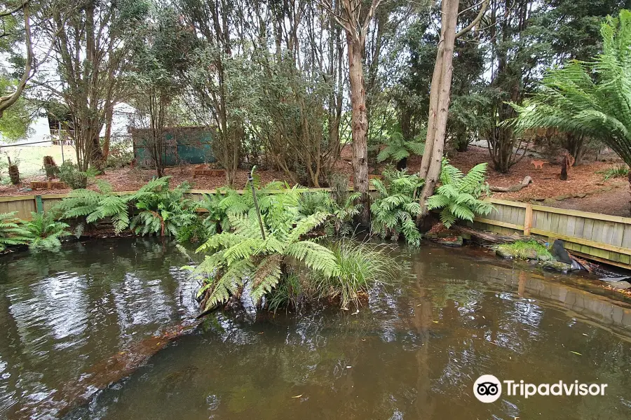 Lobster Ponds