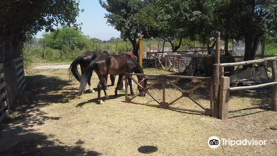 Granja Organica Tia Nora