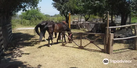 Granja Organica Tia Nora
