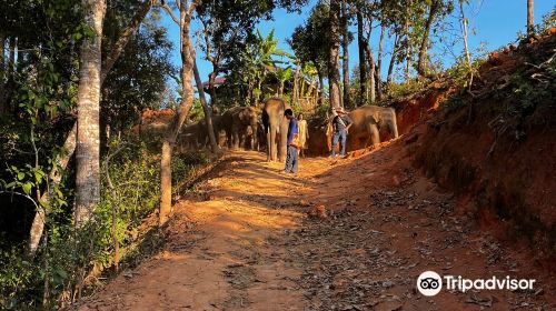 Elephant Freedom Village