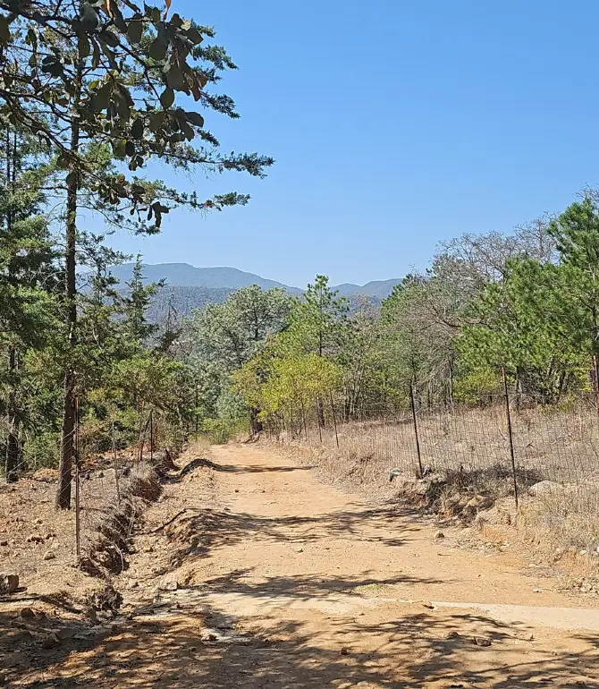 Amealco de Bonfil