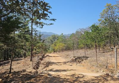 Amealco de Bonfil