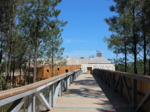 Parc Mysterra