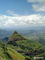 Lions Point Lonavala