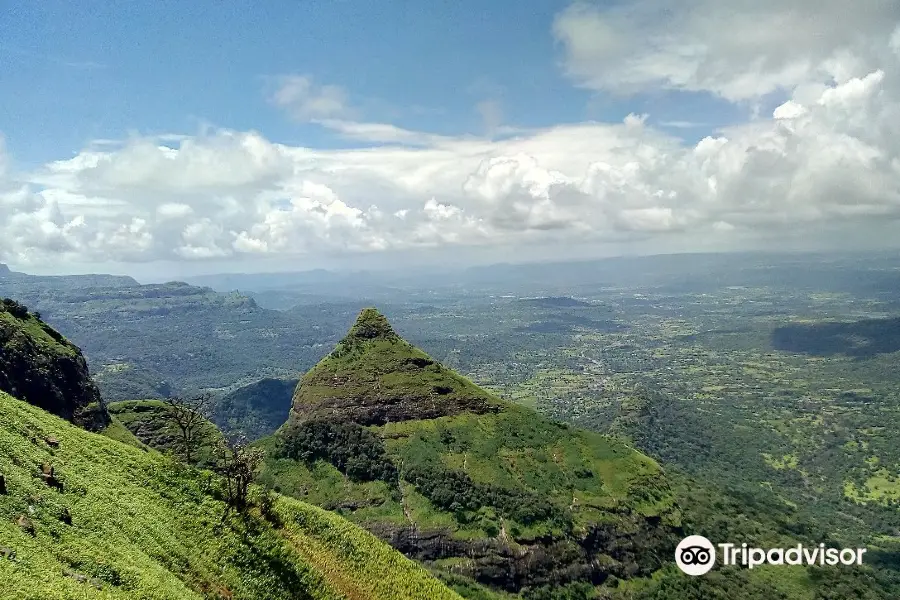 Lions Point Lonavala