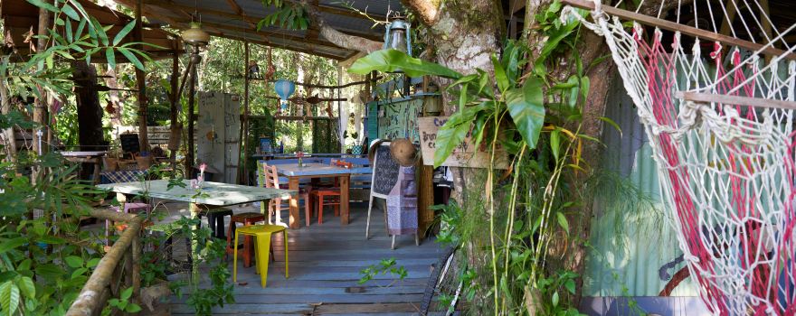 Eco Ponies Garden